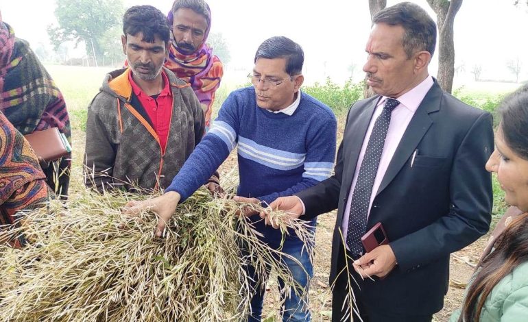 कलक्टर ने किया ओलावृष्टि प्रभावित क्षेत्रों का दौरा