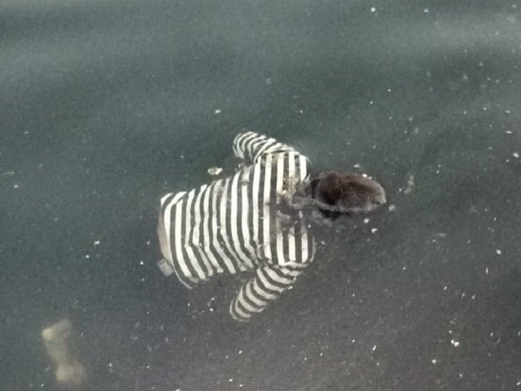 उदयपुर की फतहसागर झील में सुबह मिला लड़की का शव